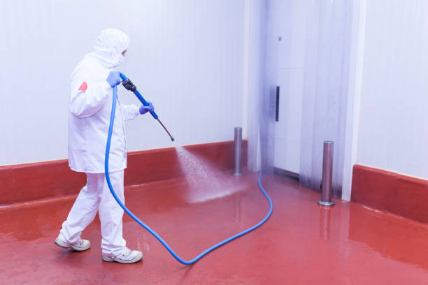 Trusted Murfreesboro, AR Pressure Washing Services Experts